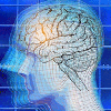 blue brain