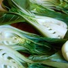 Bok choy