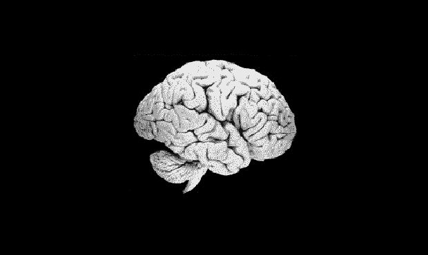 Studio 360 Episode 726, Madness, Neurons, Poetry