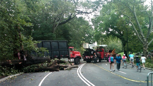 A team hauls debris off the road in Central Park on Sunday as walkers amble by.