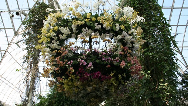 The orchid chandelier is considered to be among the crowning glories of the exhibit. 