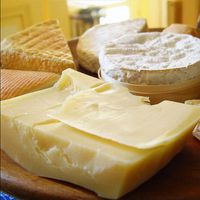 Cheese Platter, 500 x 500