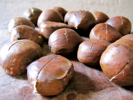 Chaplin recommends scoring the chestnuts across the curved top.