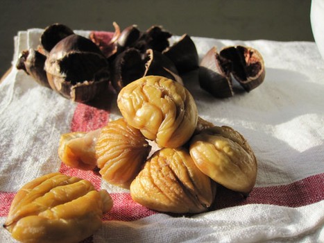 Naked chestnuts, ready for consumption. 