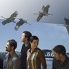 The Blue Cranes