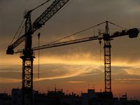 cranes