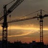 cranes