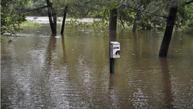 A dog bag dispenser in Edgewood Park in New Haven, Connecticut.