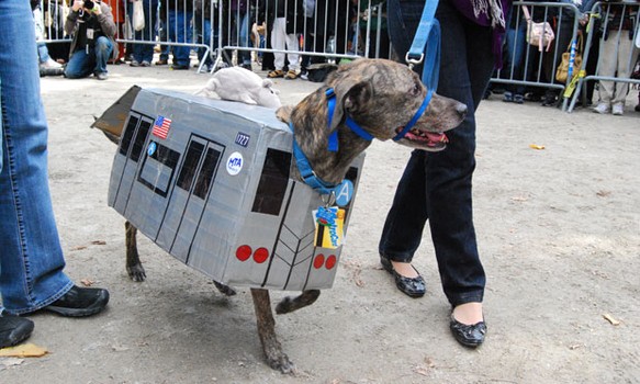 Diesel, who was dressed up as the A Train with a rat on its roof, also got an award.