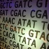 DNA sequence