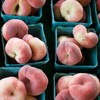 Donut peaches