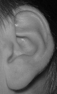 ear