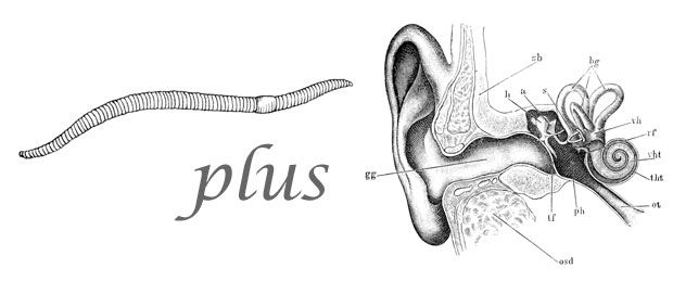 Worm plus ear