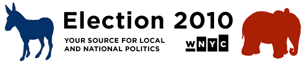 Election 2010 banner