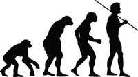 Darwin, Evolution