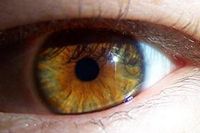 eye ball