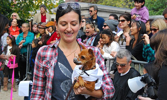 This dog won an award for its portrayal of Gandhi.