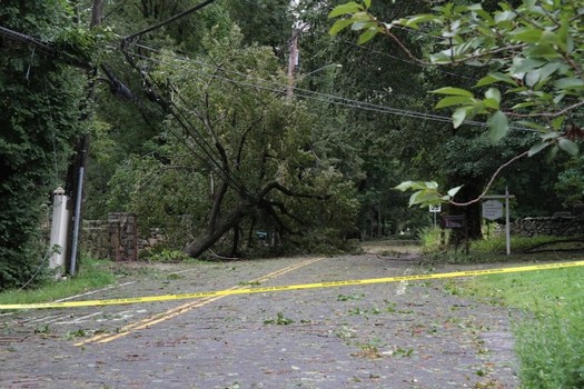 Trees fell on power lines in Greenwich, CT.
