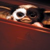 Taking it back to 1990: Remember this furry little guy Gizmo from 