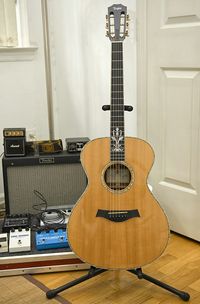 A guitar with an ebony fretboard; the recent raid on the Gibson Guitar Corporation was due to an alleged illegal import of ebony fingerboards from India.