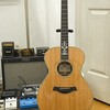 A guitar with an ebony fretboard; the recent raid on the Gibson Guitar Corporation was due to an alleged illegal import of ebony fingerboards from India.