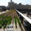 The High Line in the Meatpacking District in Manhattan