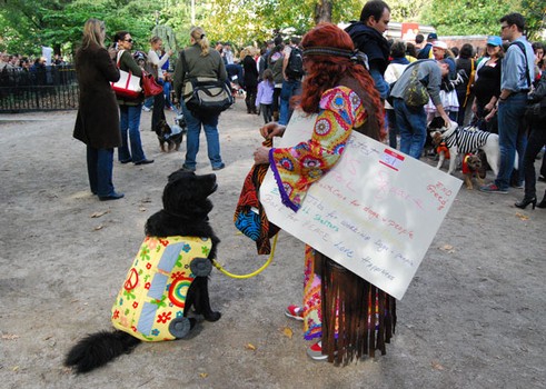 A dog and owner dressed as a flower power bus and a flower child wait in line to get into the dogpark. Admission to the show cost $5.