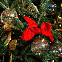 Christmas tree and ribbon