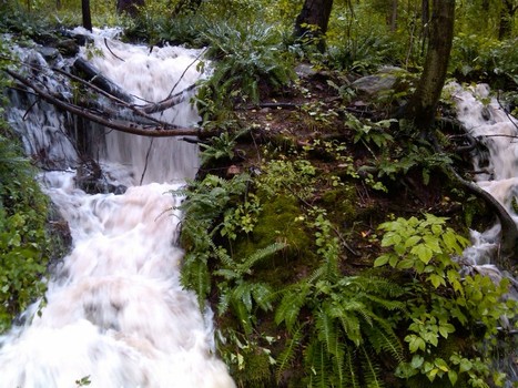 Water runoff headed to Hudson River, Dutchess Junction, NY.