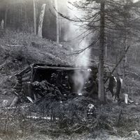 Photo from a hunting album, circa 1910 in Chautauqua County, N.Y.