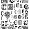 The letter C