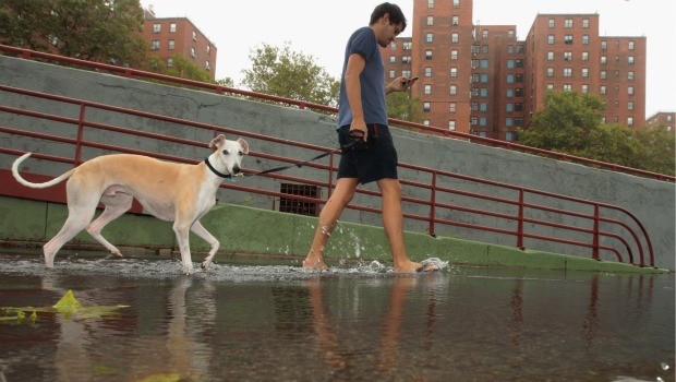 Stephen Lopez walks his dog Gomez through flood waters along the East River Bikeway after Hurricane Irene dumped more than six inches of rain August 28, 2011 in New York City. 