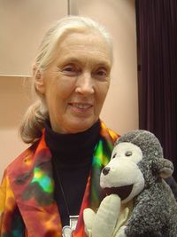 Primatologist Jane Goodall