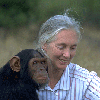 Jane Goodall