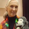 Primatologist Jane Goodall