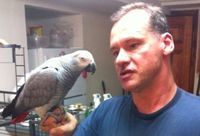 Jim Eggers and his parrot Sadie