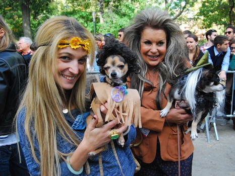 These dogs were dressed up as Jimi Hendrix and one of his groupies.