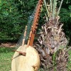 kora