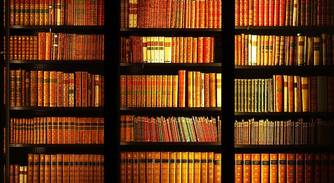 Library shelf