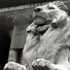 The main branch of the New York Public Library.