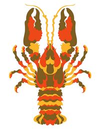American Lobster