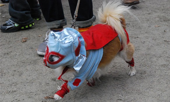 This luchadora was on the move.