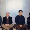 The Magnetic Fields