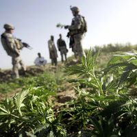 Ghazni, AFGHANISTAN: US soldiers (L) from 1rst Platoon Alpha Company, 2nd Battalion, 508 Parachute Infantry Regiment 82 Airborne Division together with Afghan National Army soldiers and Afghan Nationa