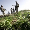 Ghazni, AFGHANISTAN: US soldiers (L) from 1rst Platoon Alpha Company, 2nd Battalion, 508 Parachute Infantry Regiment 82 Airborne Division together with Afghan National Army soldiers and Afghan Nationa