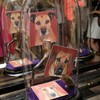 Photos of Alexander McQueen's dogs on view at Browns in London.