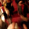 Climbing the grand staircase at the Metropolitan Opera before a performance of 'Lucia Di Lammermoor.'