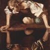 Narcissus