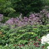 The formal garden at Edith Wharton's Mount Lenox, MA estate and gardens.
