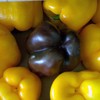 Peppers
